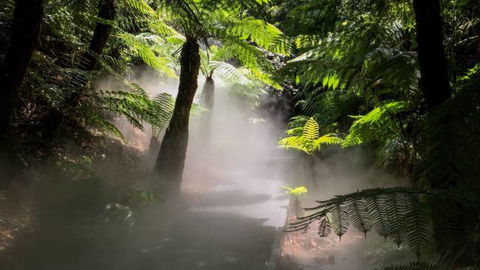 Australian National Botanic Gardens - Attractions Sydney 4