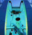 Bickley WA Attractions Sydney