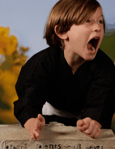 Turner Galleries - Attractions Sydney 3