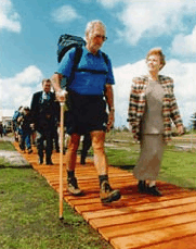 Bibbulmun Track - Attractions Sydney 1