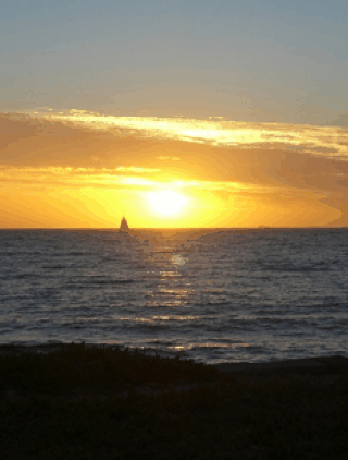 Kidogo Arthouse - Attractions Sydney 1