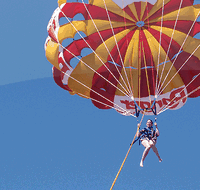 Parasailing at Mill Point - Attractions Sydney