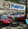 The Motor Museum - Attractions Sydney 2