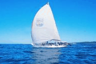 Manly Harbour Village - Attractions Sydney