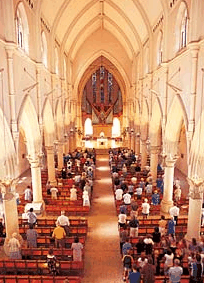 The Cathedral Of Saint Stephen - Attractions Sydney 2