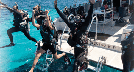 Snorkel Safari Brisbane - Attractions Sydney