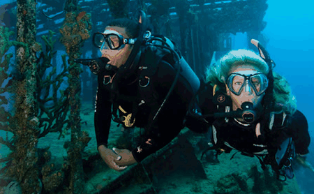 Snorkel Safari Brisbane - Attractions Sydney 2