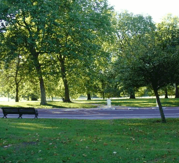 Roma Street Parkland - Attractions Sydney 0