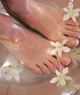 Orchid Day Spa - Attractions Sydney 0