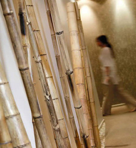 Spa Nirvana - Attractions Sydney 0