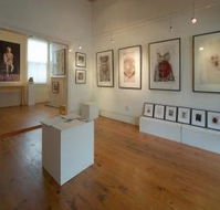 Bird's Gallery - Attractions Sydney