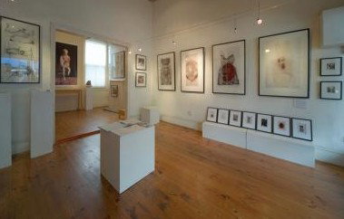Bird's Gallery - Attractions Sydney 0