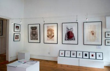 Bird's Gallery - Attractions Sydney 1