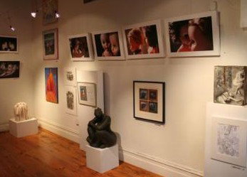 Bird's Gallery - Attractions Sydney 2