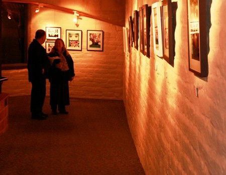 Eltham Library Community Gallery - Attractions Sydney 1