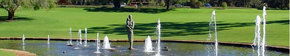 Kings Park Botanic Gardens - Attractions Sydney 3