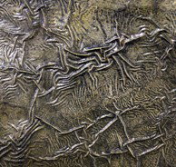 Hawthorn East VIC Attractions Sydney