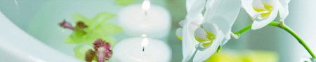 Energy Creations - Attractions Sydney 1