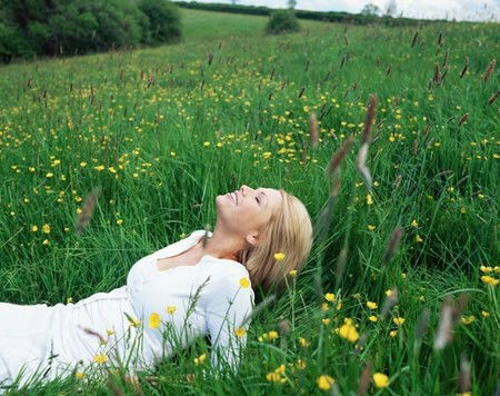 ANEW YOU Mind - Body Solutions - Attractions Sydney 0
