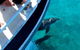 Pelican Charters - thumb 0