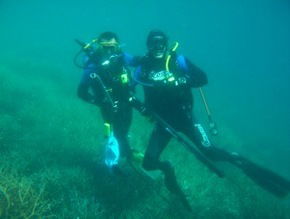Pelican Charters - Attractions Sydney 1