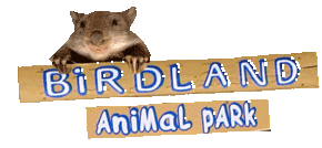 Birdland Animal Park - Attractions Sydney 0