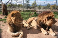 Book Mansfield Accommodation Vacations Attractions Sydney Attractions Sydney