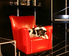 Woolloomooloo NSW Attractions Sydney