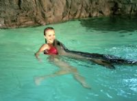 Underwater World - Attractions Sydney 2