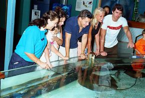Underwater World - Attractions Sydney 3