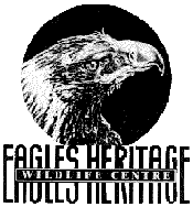 Eagles Heritage - Attractions Sydney 0