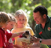 Cleland Wildlife Park - Attractions Sydney