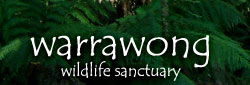 Warrawong Wildlife Park - Attractions Sydney 0
