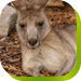 Calmsley Hill City Farm - Attractions Sydney 0