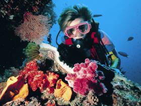 Gold Coast Seaway Dive Site - Attractions Sydney 0