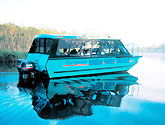 Noosa Everglades Discovery - Attractions Sydney 1
