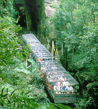 Scenic World Blue Mountains - Attractions Sydney 3