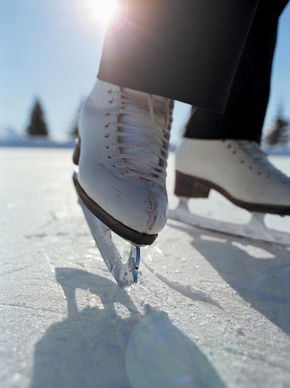 Olympic Ice Skating Centre - Attractions Sydney 0