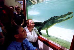 Alice Springs Reptile Centre - Attractions Sydney 1