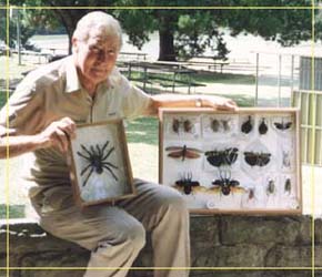 Butterfly Farm - Attractions Sydney 1