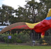 Gumbuya Park - Attractions Sydney
