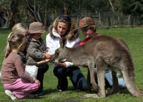 Gumbuya Park - Attractions Sydney 1