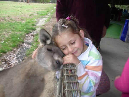 Gumbuya Park - Attractions Sydney 3