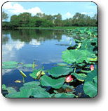 Kakadu National Park - Attractions Sydney 3