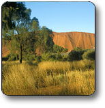  Attractions Sydney