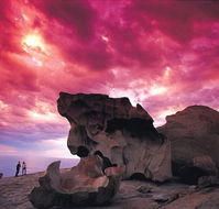 Kangaroo Island Adventure Tour 2 day/1 night - Attractions Sydney