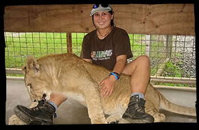 Cairns Wildlife Safari Reserve - Attractions Sydney 1