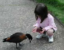 Urimbirra Wildlife Park - Attractions Sydney 3