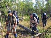 Adventure Out - Attractions Sydney 3