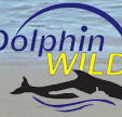 Dolphin Wild - Attractions Sydney